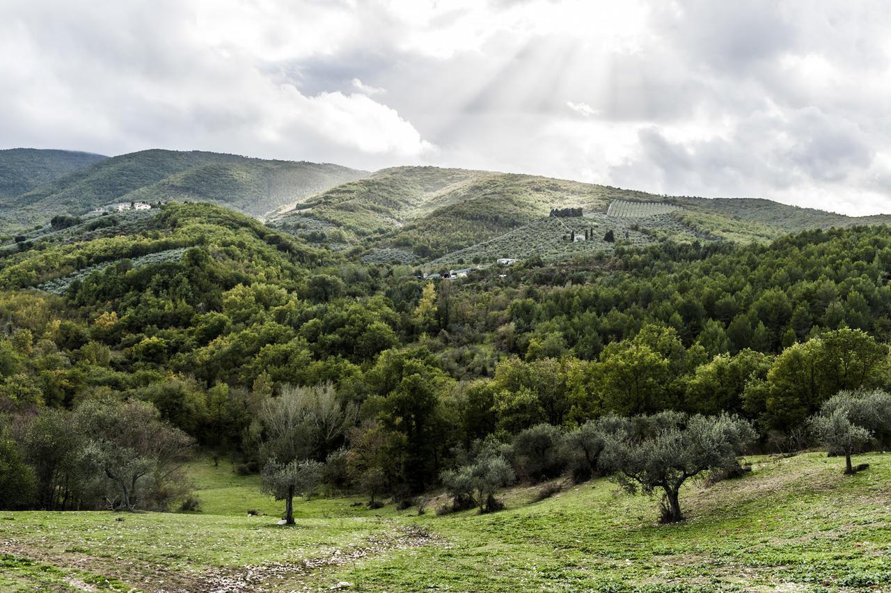 Tenuta San Felice Giano dellʼUmbria Exterior foto